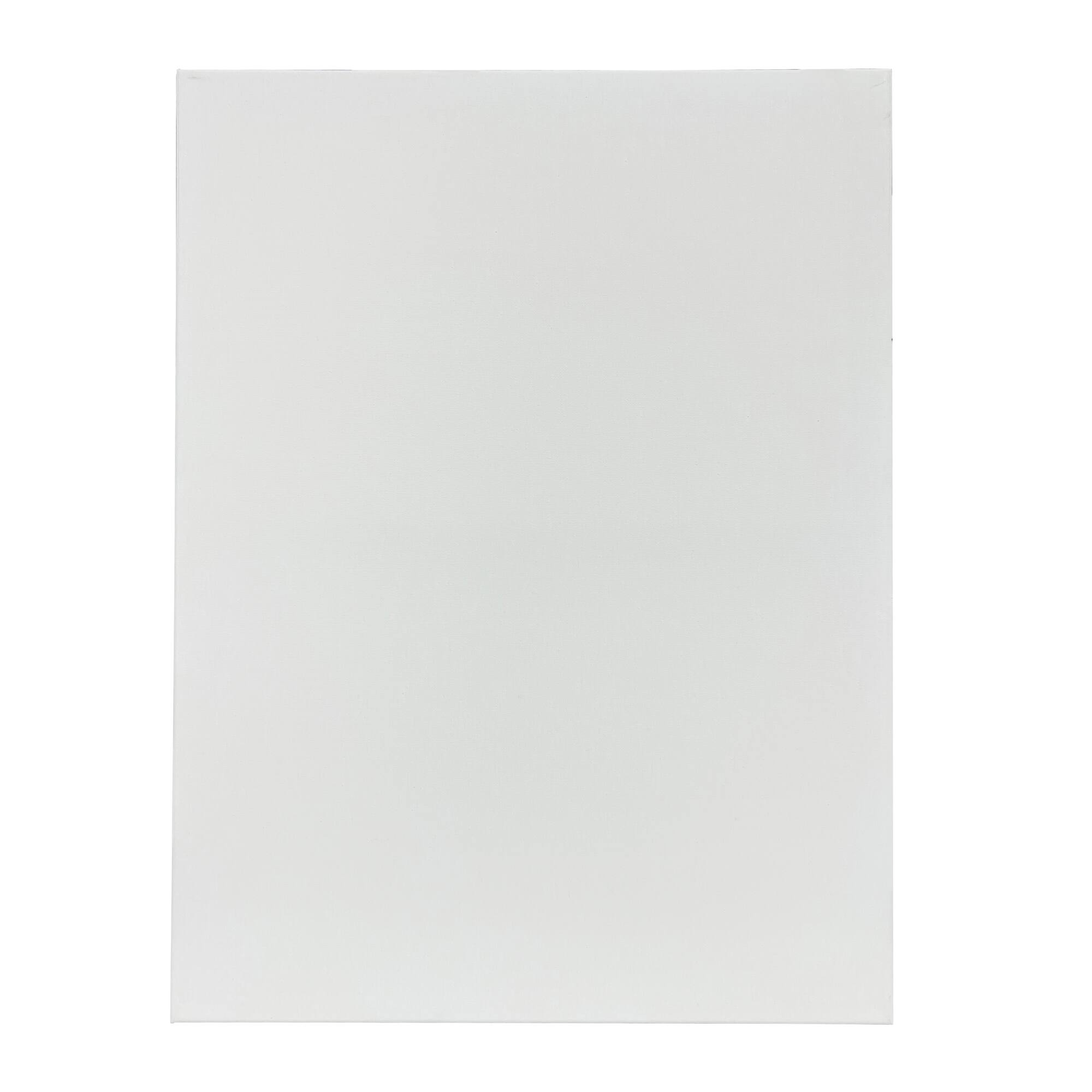 3 Pack 18" x 24" Super Value Canvas by Artist's Loft®